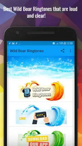 Play Wild Boar Ringtones  and enjoy Wild Boar Ringtones with UptoPlay