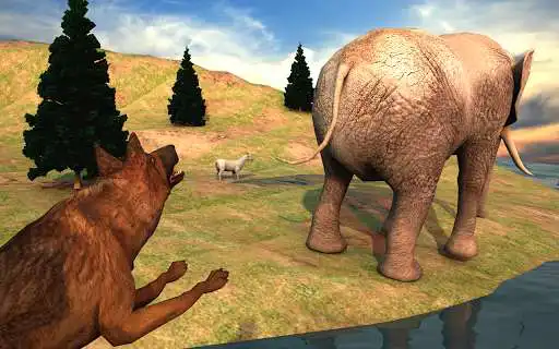 Play Wild Dog Pet Simulator Games  and enjoy Wild Dog Pet Simulator Games with UptoPlay