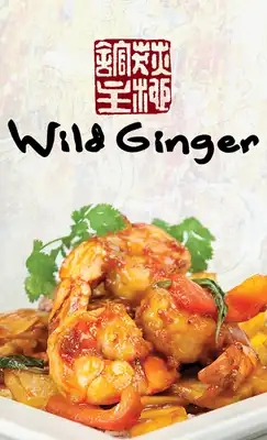 Play Wild Ginger