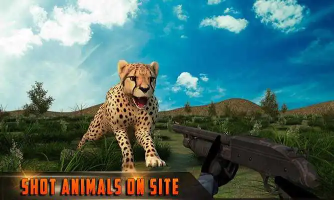 Play Wild Hunter Jungle Shooting 3D