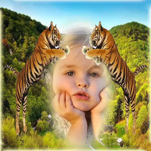 Free play online Wildlife Animal Photo Frames APK