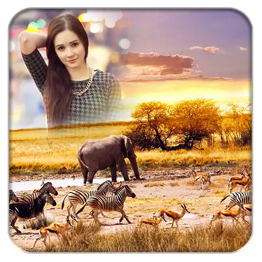 Free play online Wildlife Photo Frames  APK