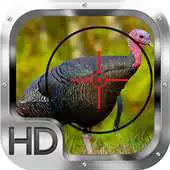 Free play online Wild Turkey Hunting Gold Pro APK