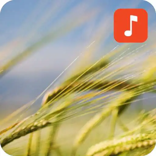 Play Wind Sound Effects APK