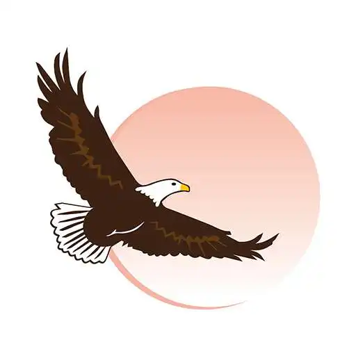 Play Wings To Soar APK