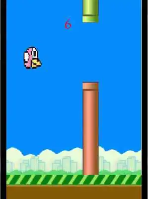 Play Wingy Bird