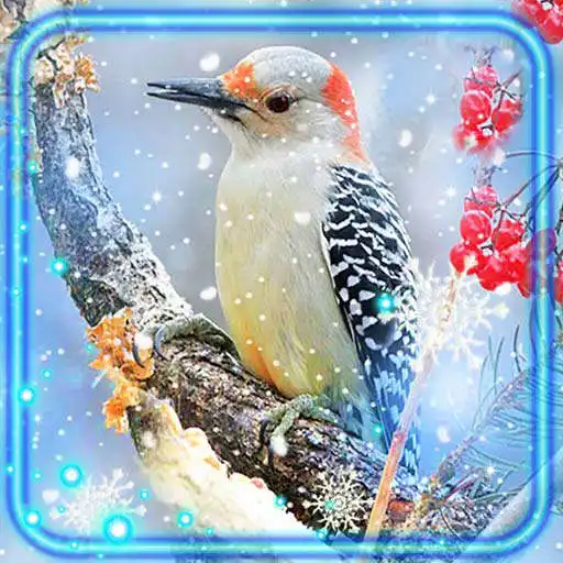 Play Winter Birds Forest APK