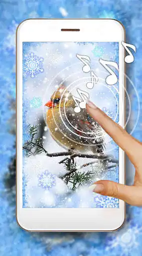 Play Winter Birds Forest  and enjoy Winter Birds Forest with UptoPlay