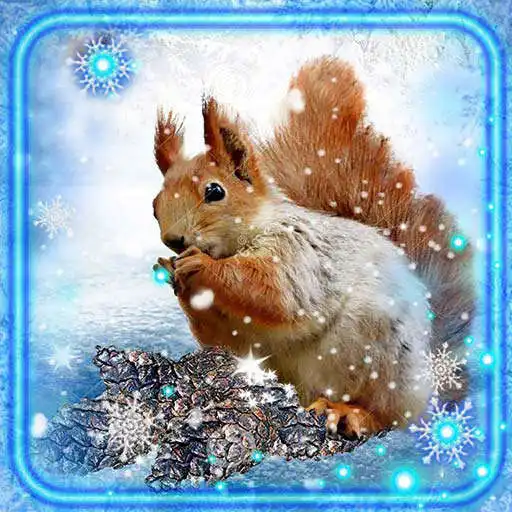 Play Winter Squirrel Live Wallpaper APK