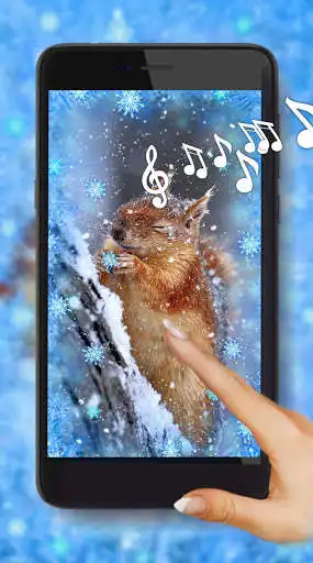 Play Winter Squirrel Live Wallpaper  and enjoy Winter Squirrel Live Wallpaper with UptoPlay