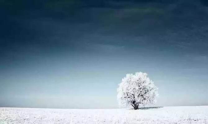 Play Winter Wallpaper App