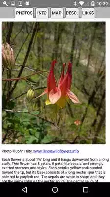 Play Wisconsin Wildflowers