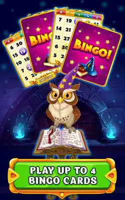 Play Wizard of Bingo