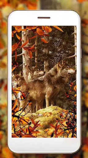 Play Wolf Autumn Live Wallpaper as an online game Wolf Autumn Live Wallpaper with UptoPlay