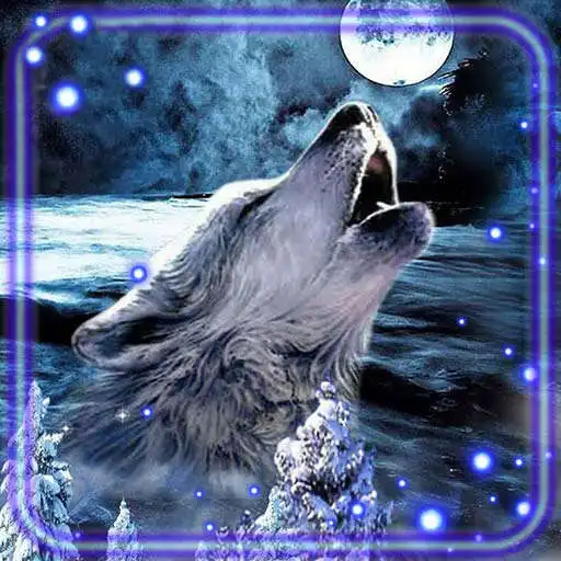 Play Wolf Night Howl Live Wallpaper APK