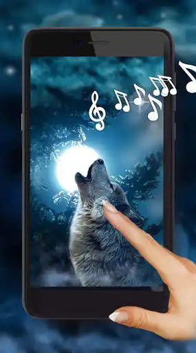 Play Wolf Night Howl Live Wallpaper  and enjoy Wolf Night Howl Live Wallpaper with UptoPlay