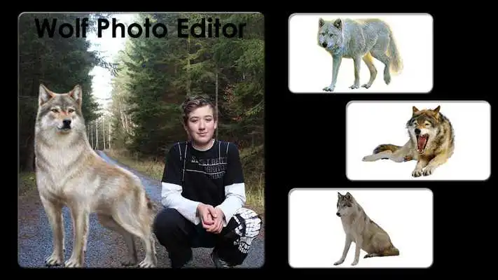 Play Wolf Photo Editor