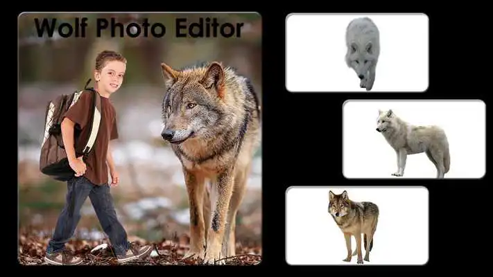 Play Wolf Photo Editor