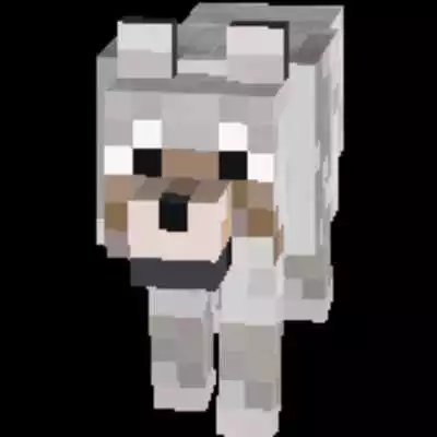 Play WOLF Skin For MINECRAFT