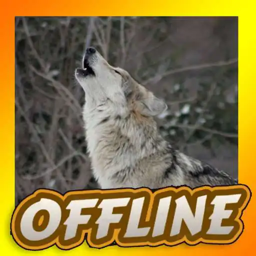 Play Wolf Sounds App APK