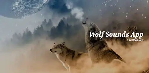 Play Wolf Sounds App  and enjoy Wolf Sounds App with UptoPlay