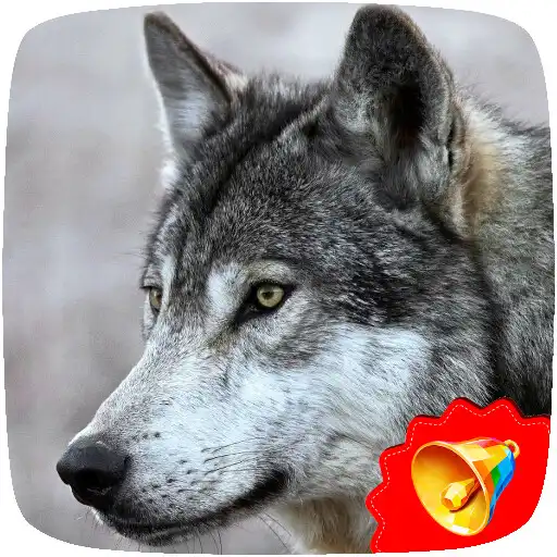 Play Wolf Sounds APK