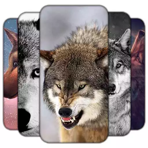 Play Wolf Wallpaper HD Free APK