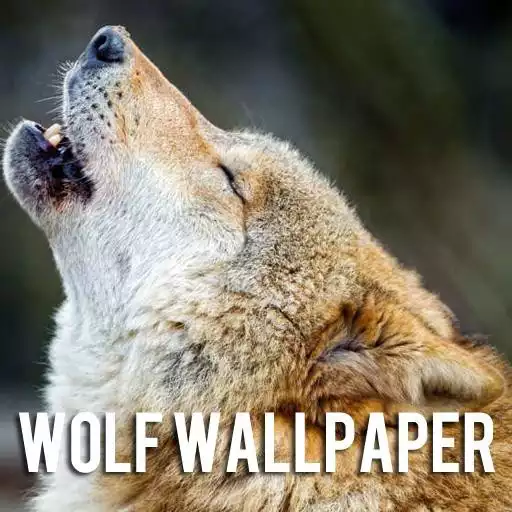 Play Wolf Wallpaper APK