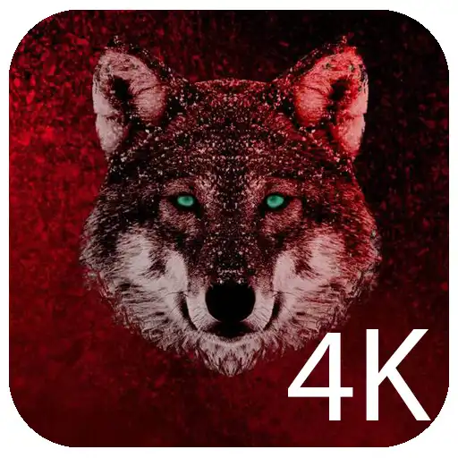 Play Wolf Wallpapers 4K Background APK