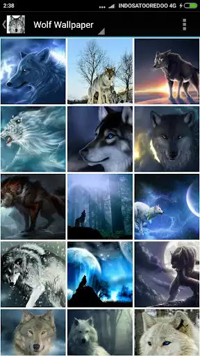 Play Wolf Wallpaper  and enjoy Wolf Wallpaper with UptoPlay