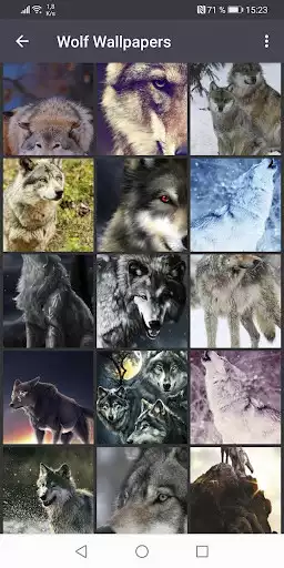 Play Wolf Wallpapers