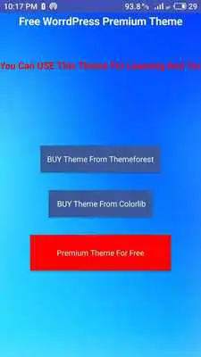 Play Wordpress Premium Theme Free