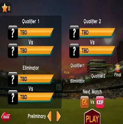 Play World Cricket Champion