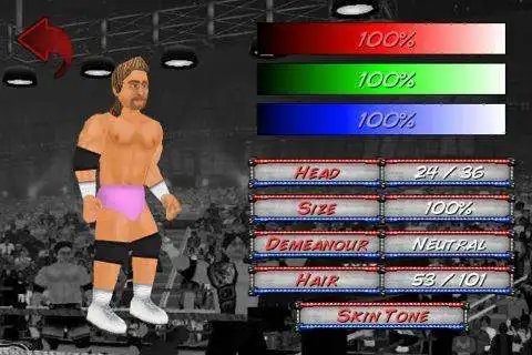 Play Wrestling Revolution