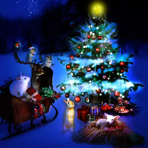 Run free android online Xmas Wallpaper Aurora Night APK