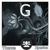 Free play online Xperica Theme Gizem Black APK