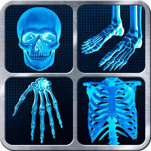 Free play online X-Ray Full Body Prank  APK