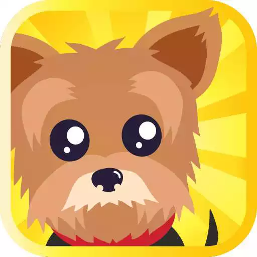 Play Yorkie Jump APK