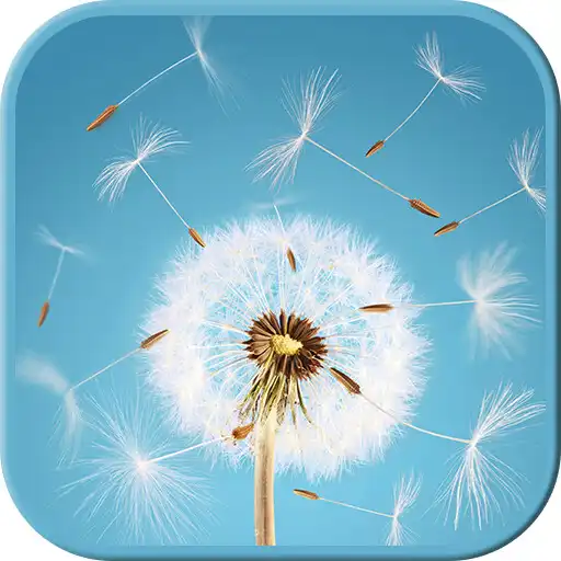 Play Your Wallpapers with Plants 4K APK