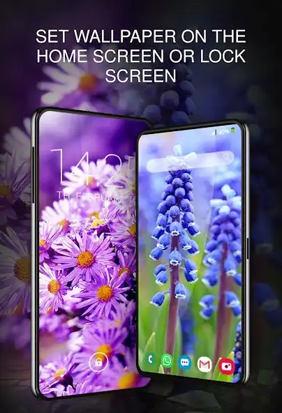 Play Your Wallpapers with Plants 4K  and enjoy Your Wallpapers with Plants 4K with UptoPlay