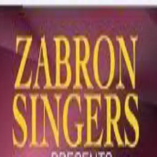 Play Zabron Singers All Songs APK