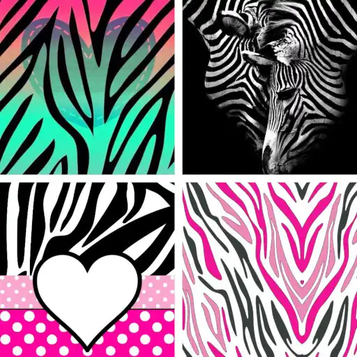 Play Zebra Print HD Wallpapers APK