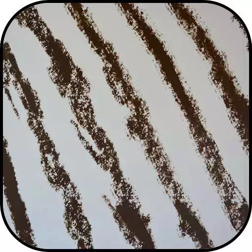 Play Zebra Print Wallpapers APK