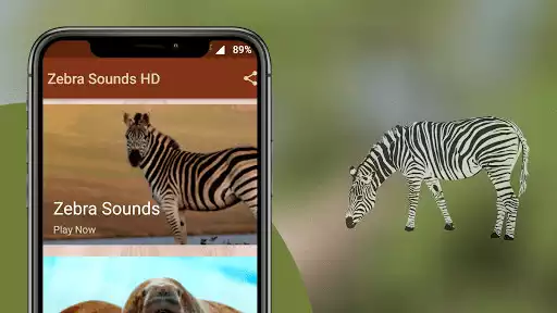 Play Zebra Sounds as an online game Zebra Sounds with UptoPlay